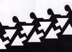 公牛队战胜黄蜂队：全队发挥出色，再现绝佳状态